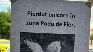 Acest anunț din Iași a devenit viral: Pierdut unicorn în zona Podu de Fier. Dacă-l vedeți, nu vă..