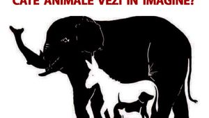 Testul IQ care îți spune cât de deștept ești: Câte animale vezi în imagine?!