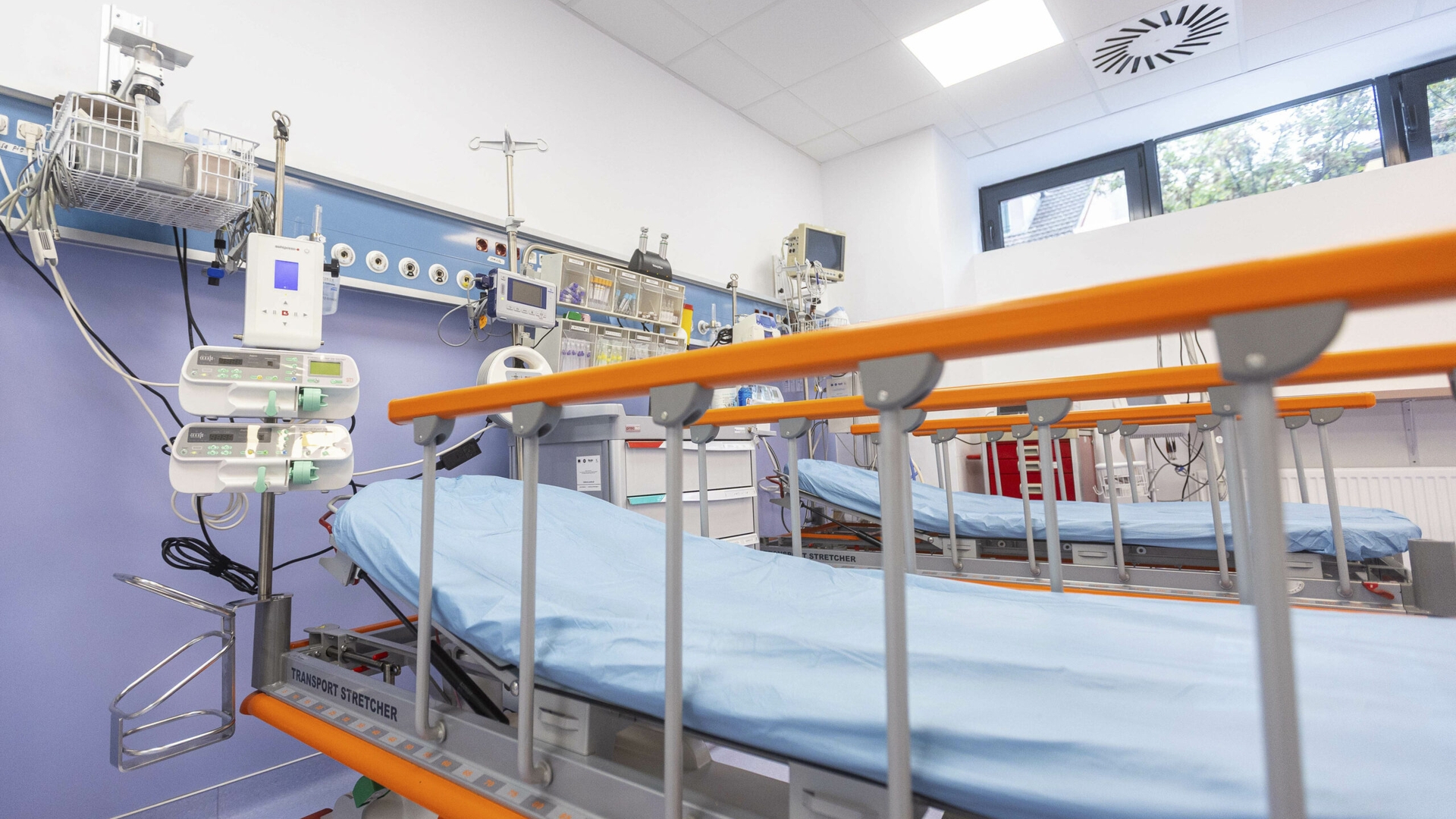 Cercetătorii au reușit să elimine complet leucemia în modele preclinice, potrivit unui studiu. Ce înseamnă asta