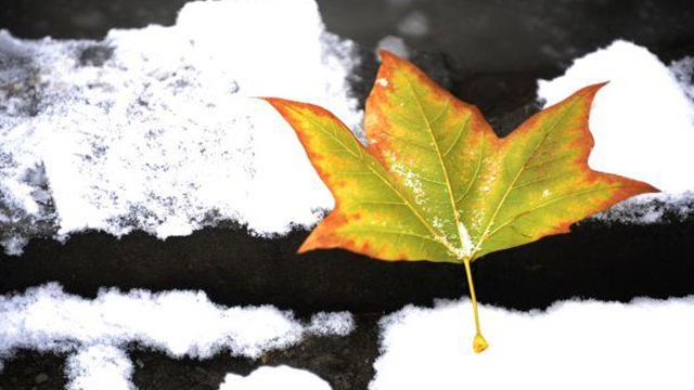 Prognoza meteo pentru SAMBATA! Afla cum va fi vremea in Bucuresti si in toata tara!