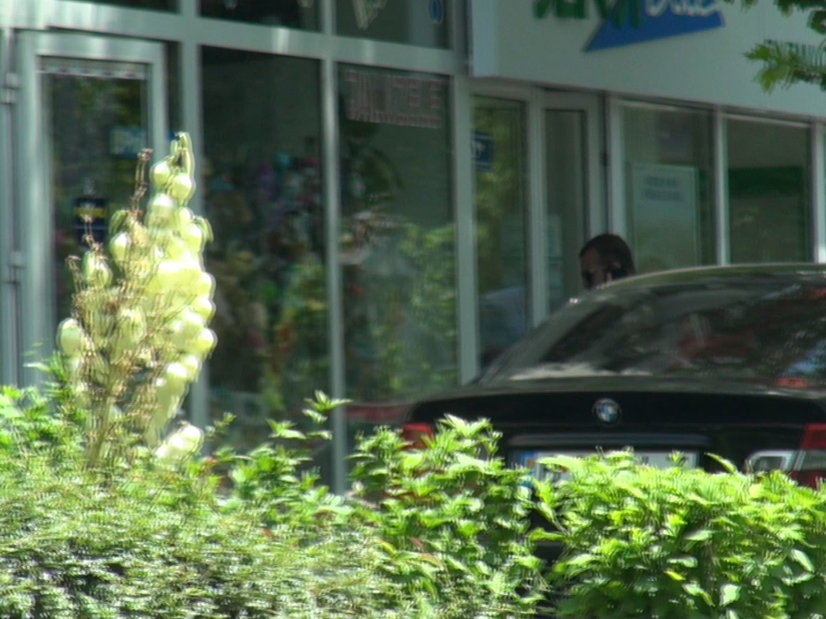 Denis Alibec vrea să-şi rezolve problema căderii părului