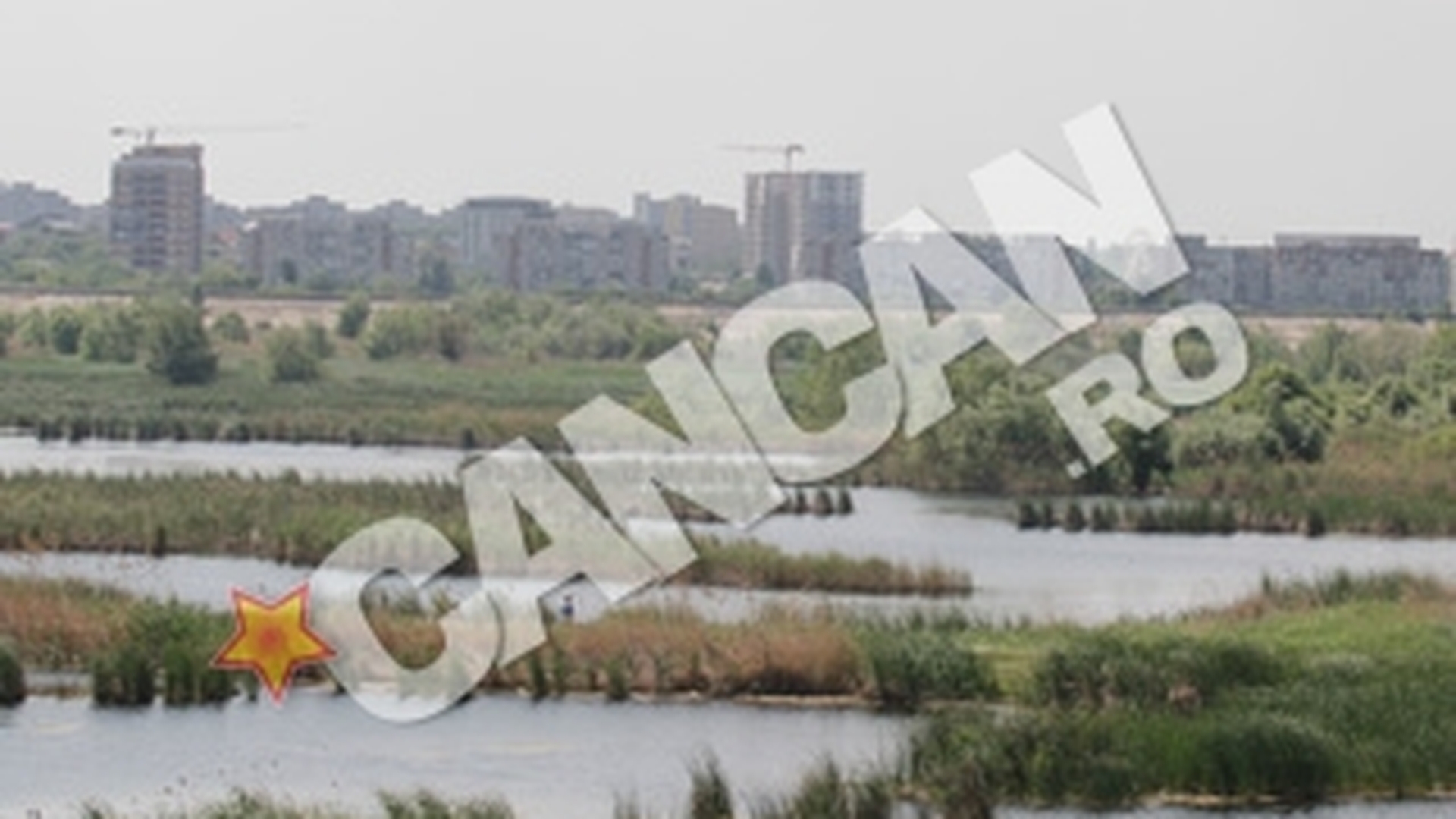 Actiunea de ecologizare a Lacului Vacaresti incepe sambata! Zeci de voluntari participa la evenimentul: "Delta" Vacaresti, un plaman in Bucuresti