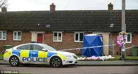 Galerie foto - poza 4