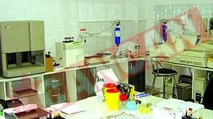 "Capsunarii" fac teste de paternitate pe banda rulanta
