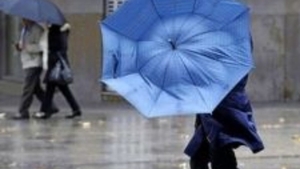 Furtuna din București a smuls o barieră și a pus la pământ mai mulți copaci