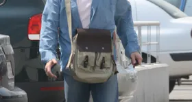 Galerie foto - poza 4