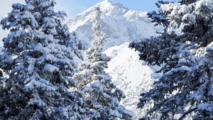 Ninge în România, începând de miercuri, 15 octombrie. ANM a făcut anunțul