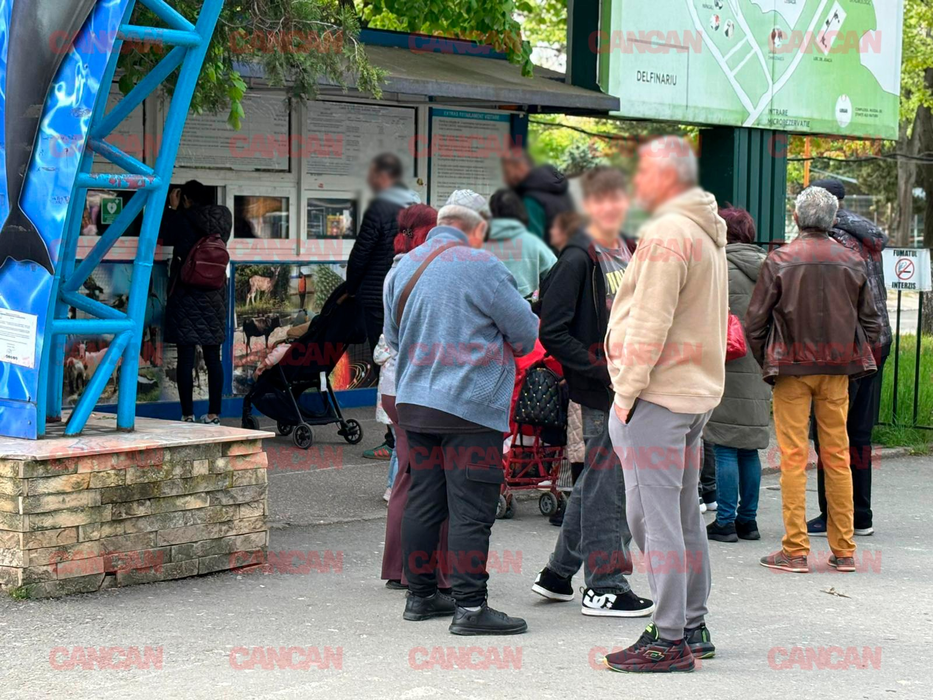 Cât costă un bilet la Delfinariu din Mamaia? Un adult trebuie să plătească aproape 75 de lei pentru a lua parte la o demonstrație