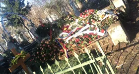 Galerie foto - poza 1