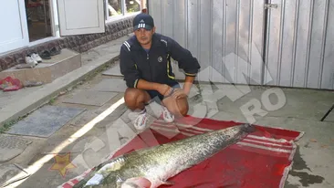 Un tanar din Gorj a capturat un somn-monstru