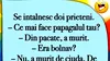 BANC | „Ce mai face papagalul tău?”