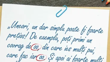 Încă o perlă ireală la proba de limba română de la Evaluare: De exemplu, poți primi un covrag de oo, din care ies mulți pui, care fac iar oo. Și apoi..