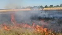 S-a dezlănțuit iadul în Argeș! O bătrână a provocat un incendiu de proporții. VIDEO