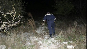 Au fugit de acasă "din dragoste". Tinerii dați dispăruți în Dâmbovița au fost găsiți într-o pădure