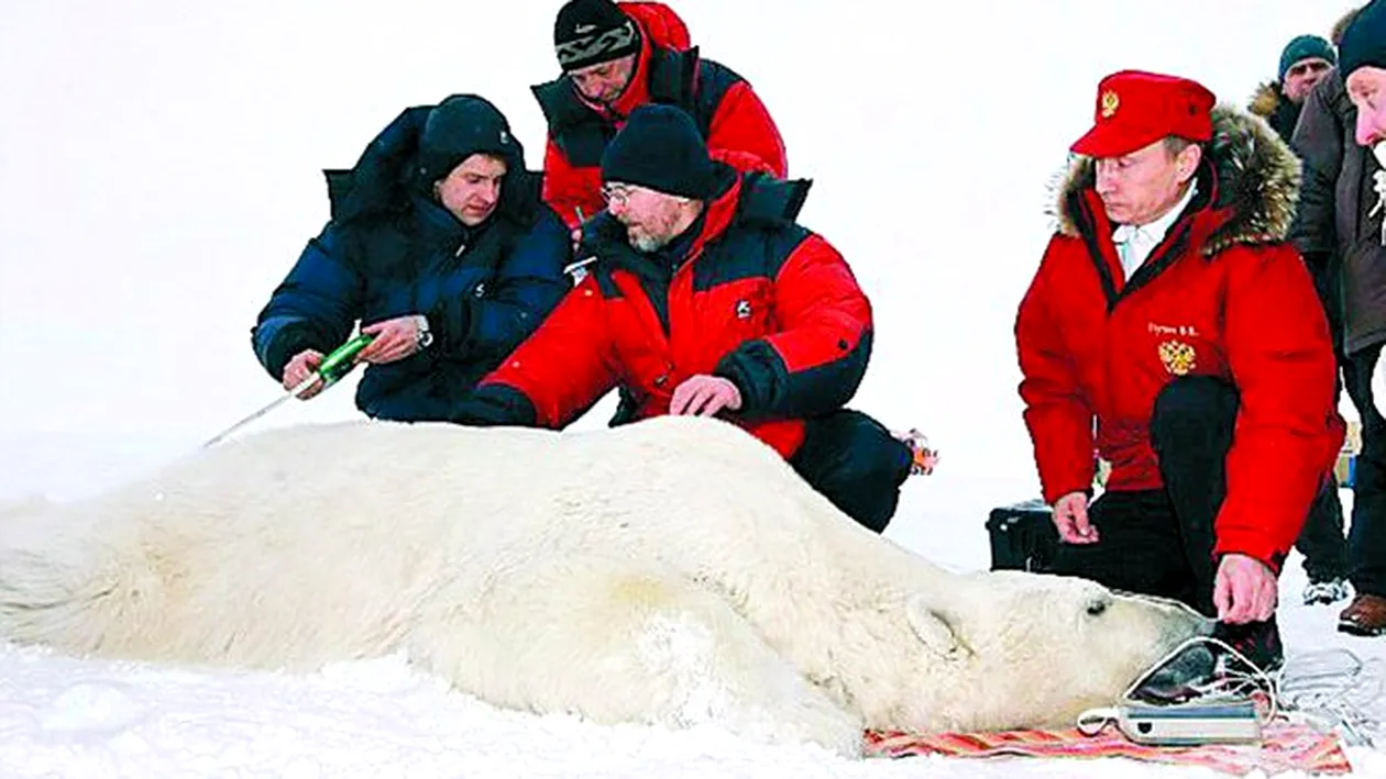 Putin s-a jucat cu un urs polar!
