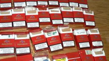 Tigari de contrabanda descoperite in Constanta