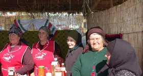 Galerie foto - poza 2