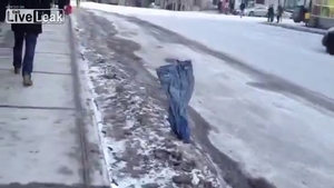 VIDEO "Nu pot să cred că am văzut asta!" Ce a surprins un canadian pe camera de luat vederi a făcut înconjurul lumii!