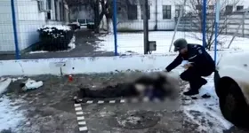 Galerie foto - poza 3