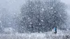 NINSORILE revin în forță în România. Stratul de zăpadă va atinge și 8 cm. Temperaturile scad brusc în toată țara