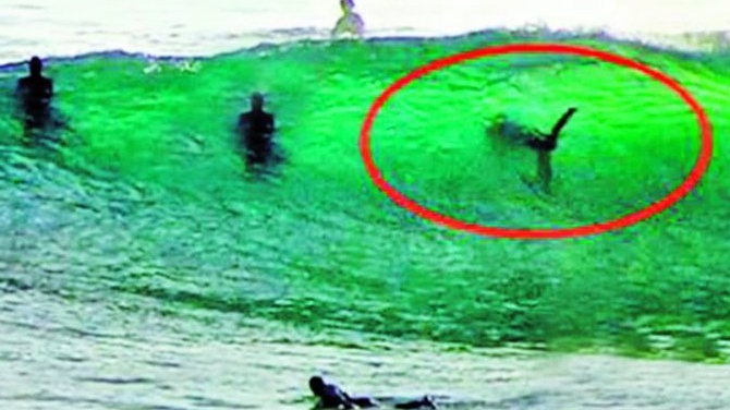 Au facut surf langa un rechin urias