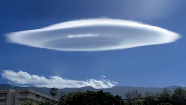 Apariție șocantă surprinsă de camerele de supraveghere. Nimeni nu își dă seama ce apare în imagini