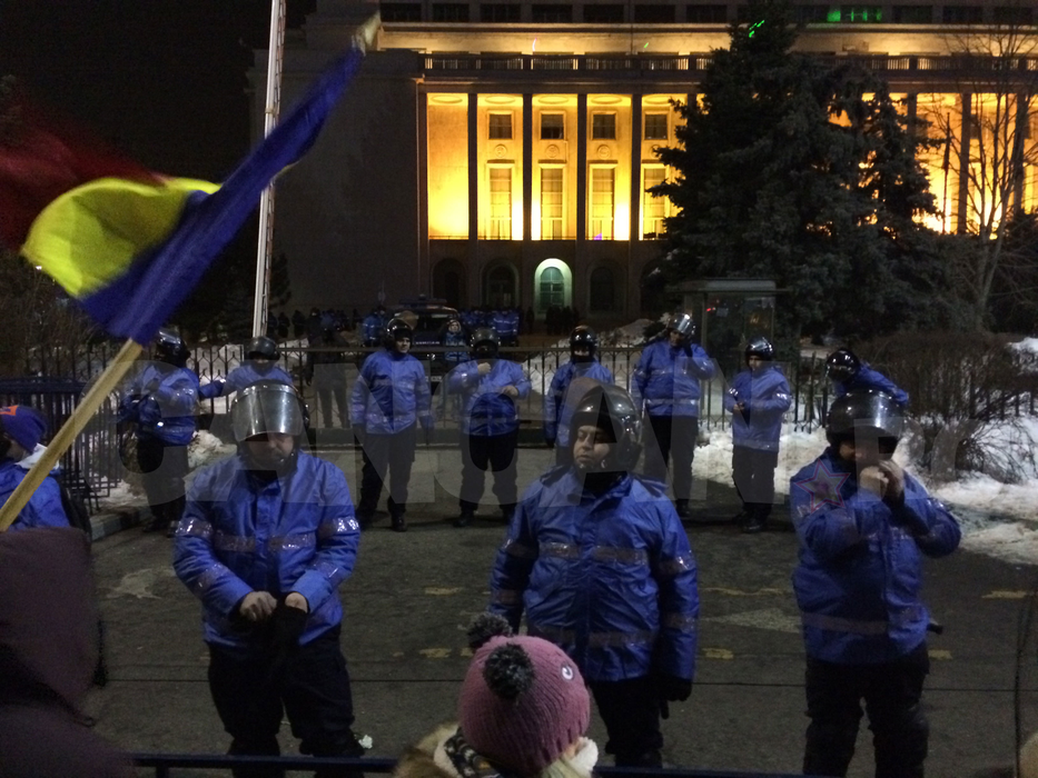 Dosare penale după bătălia din Piata Victoriei. Jandarmi şi manifestanti raniti