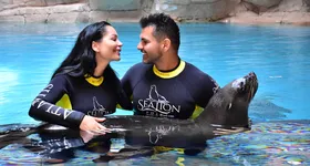 Galerie foto - poza 3