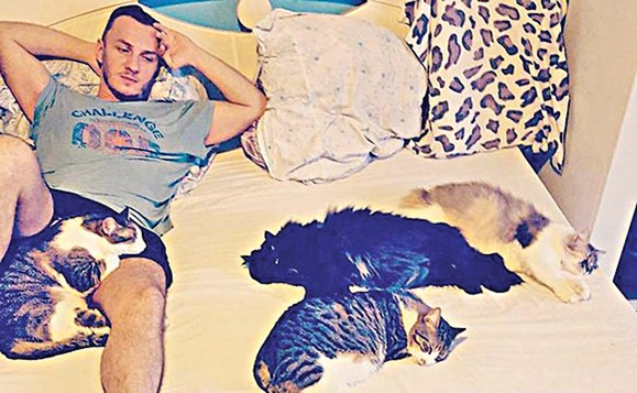 Ce vârstă are pisica ta în ani omenești. Calculul e foarte simplu! Vezi ce vedete preferă micuțele feline și cine a ales să își ia câine