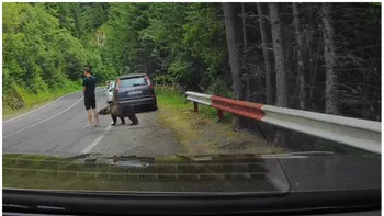 Imagini terifiante pe Transfăgărășan! Un bărbat nu a observat ursul aflat la câțiva centimetri