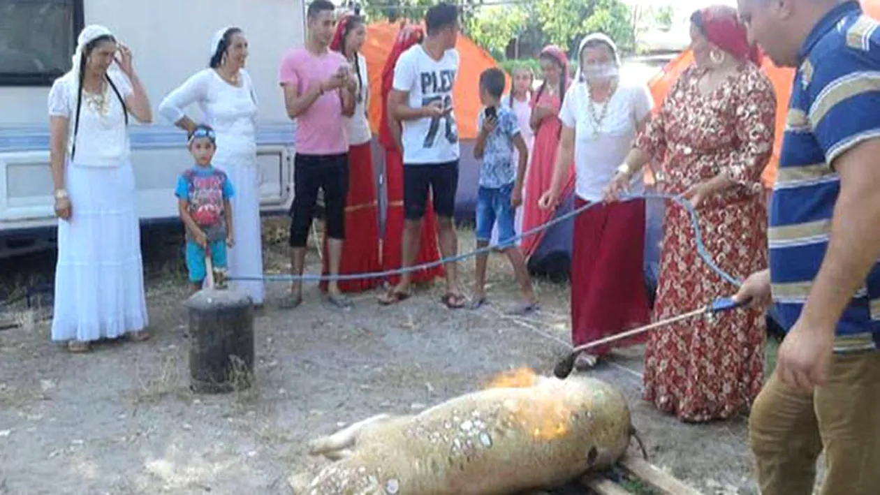 Scene şocante la mare! Au tăiat porcul chiar pe plajă