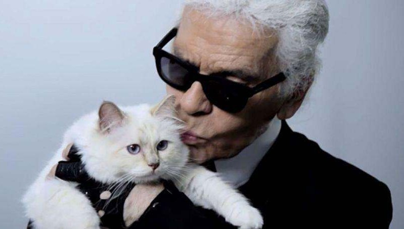 Pisica lui Karl Lagerfeld, ”în doliu”. Choupette le-a „mulțumit” fanilor pe Instagram