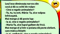 BANC | Leul iese dimineața nervos din casă
