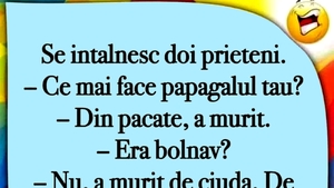 BANC | "Ce mai face papagalul tău?"
