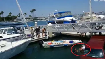 Operațiune de salvare contracronometru, după ce un șofer a plonjat cu mașina în apa unui port