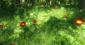 Galerie foto - poza 3