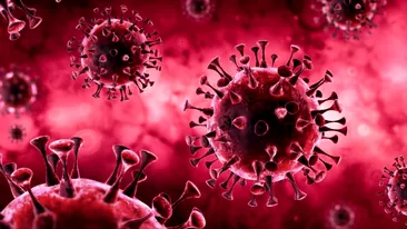 Coronavirus România, 24 iulie 2021. Câte cazuri noi de COVID-19 au fost raportate astăzi