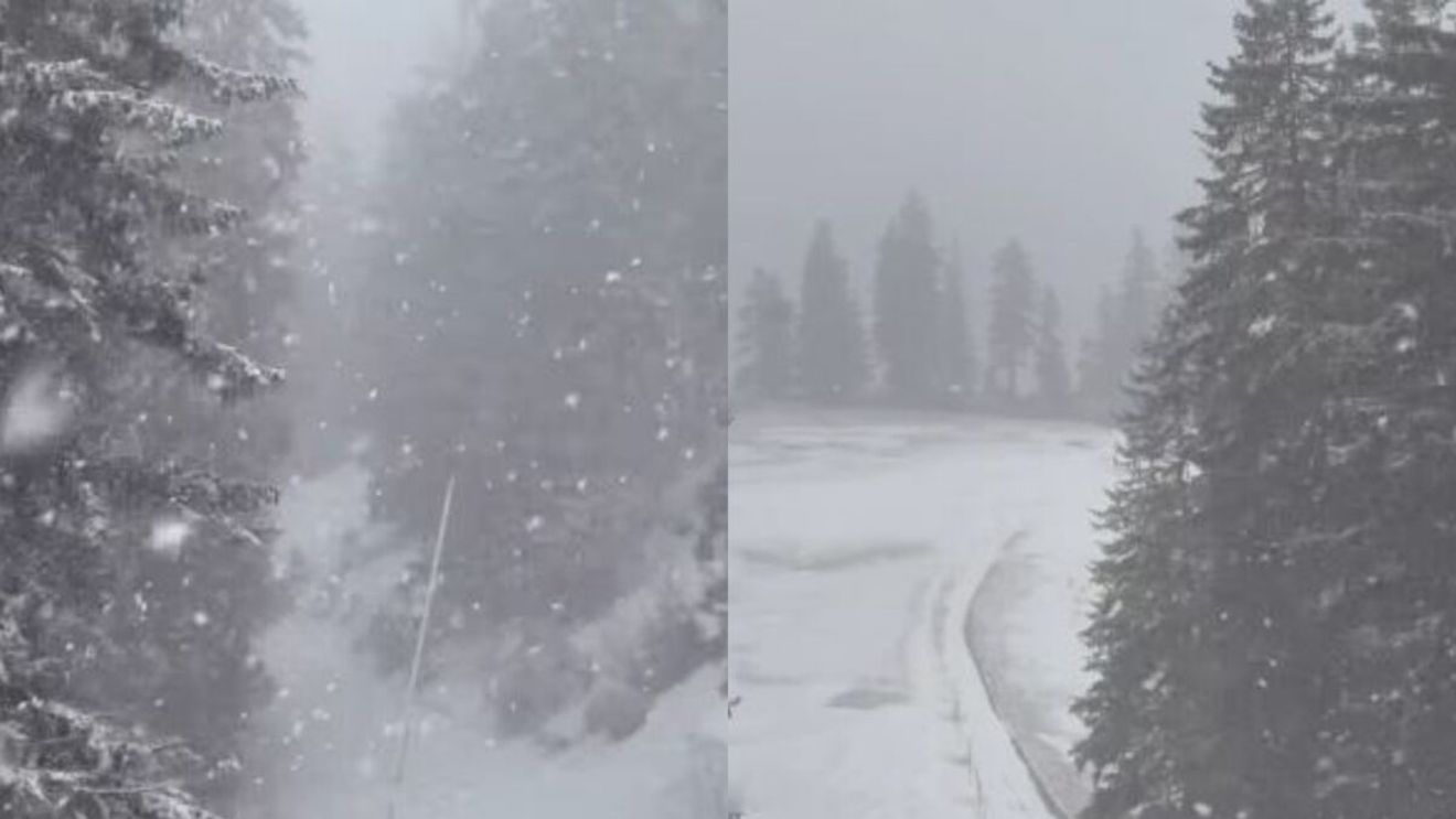 Locul din România unde a nins ca în poveşti. Iarnă la mijloc de martie. VIDEO