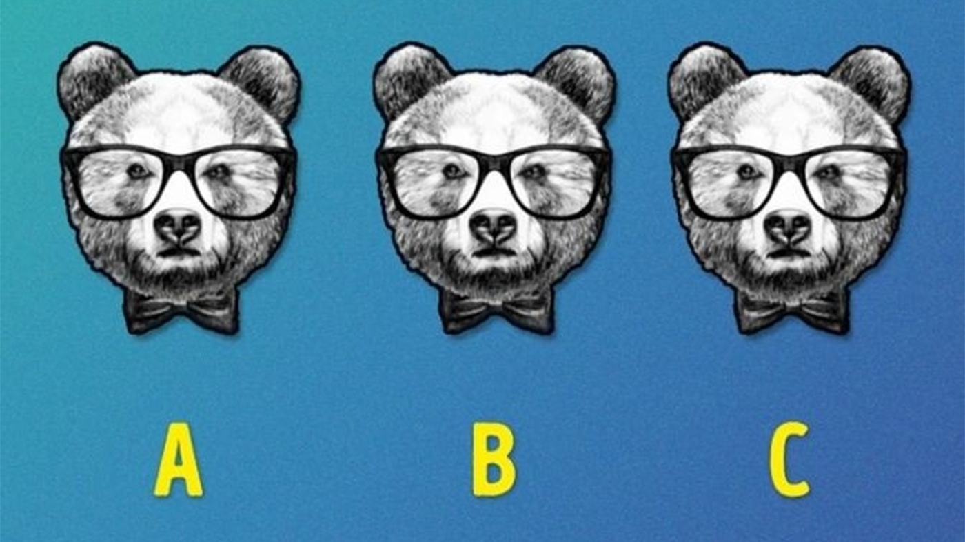 Test de logică | Care urs este diferit de ceilalți doi?