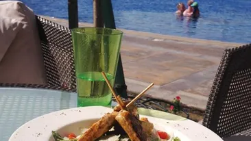 Ce vedetă de la noi se răsfaţă chiar acum aşa lângă piscină! N-ai vrea să fii şi tu în locul ei?