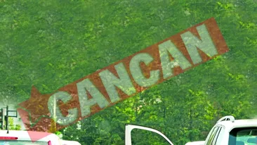 A cerut-o de nevasta la semafor!