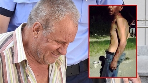 Cine e complicele lui Gheorghe Dincă. Tânărul a sunat-o la telefon pe mama Luizei. Ce i-a spus