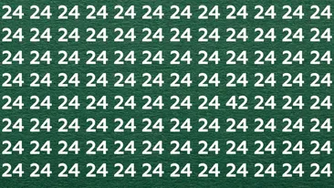 Test de perspicacitate | Doar 1 dintre 10 oameni îl găsește în 7 secunde: Identificați singurul număr diferit de 24!