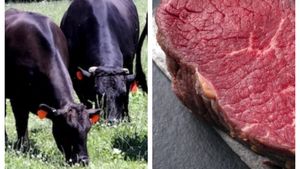 Cât costă un kilogram de carne de vită Wagyu. Un fermier din România a dat lovitura cu cea mai scumpă bovină din lume