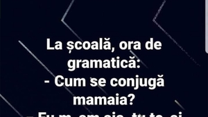 BANC | Ora de gramatică: "Cum se conjugă 'mamaia'?"