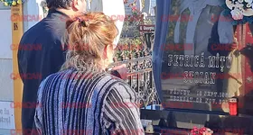 Galerie foto - poza 3