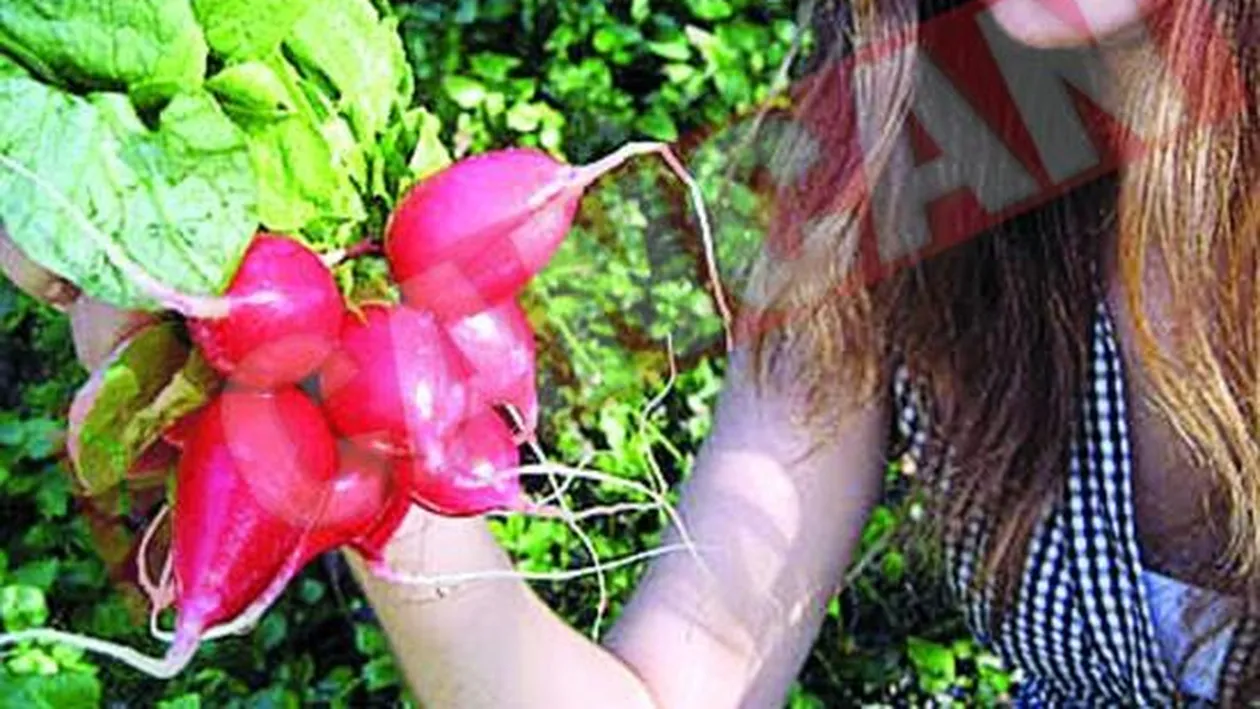 Legume de sezon care va protejeaza impotriva afectiunilor