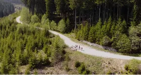 Galerie foto - poza 4