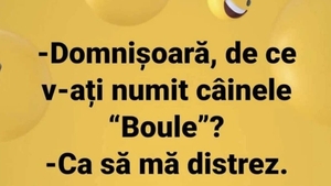 BANC | ”Domnișoară, de ce v-ați numit câinele ”boule”?”
