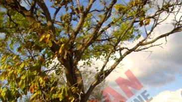 Iulia Vantur si Marius Moga, vacanta de vis in Bahamas